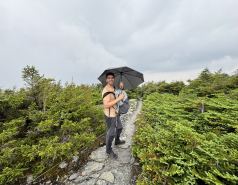 Green mountains - Vermont 2024 picture no. 5