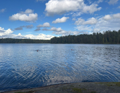 Nuuksio, Finland 2025 picture no. 23