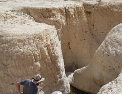 Working hard picture no. 11