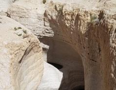 Working hard picture no. 12