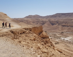 Working hard picture no. 13