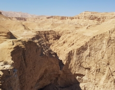 Working hard picture no. 21