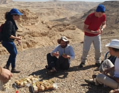 Working hard picture no. 26