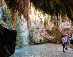 Working hard picture no. 33