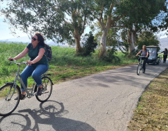 Working hard picture no. 48