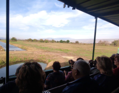 Working hard picture no. 51