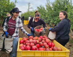 Working hard picture no. 55