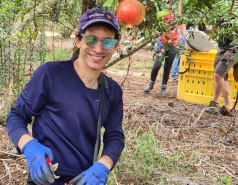 Working hard picture no. 57