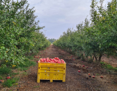 Working hard picture no. 58