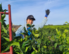 Working hard picture no. 59