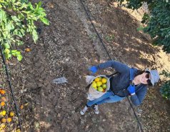 Working hard picture no. 60