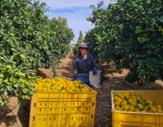 Working hard picture no. 61