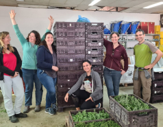 Working hard picture no. 62