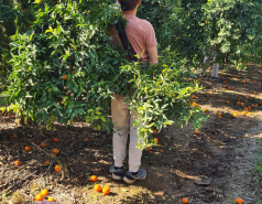 Working hard picture no. 64