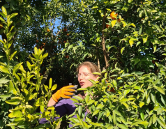 Working hard picture no. 65