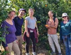 Working hard picture no. 66