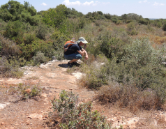 Departmental Retreat 2016 picture no. 14