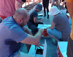 Department volunteering activity, 12.9.22 picture no. 14