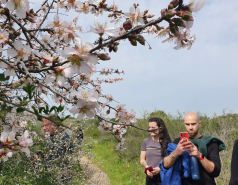 Iris picnic, February 2022 picture no. 2