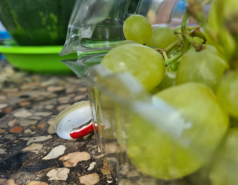 Gilboa, May 2021 picture no. 14