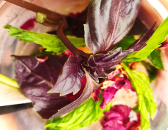 Shuk TLV, July 2022 picture no. 11