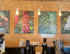 Tasting, February 2024 picture no. 3