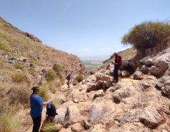 Gilboa, May 2021 picture no. 4