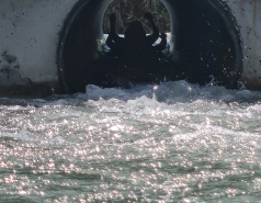 Gilboa, May 2021 picture no. 13