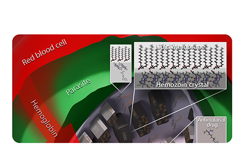 Malaria, atherosclerosis &</br>laser-induced ice nucleation