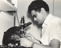 Photos picture no. 2