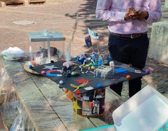 Social picture no. 20