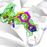 Highly specific kinase inhibition