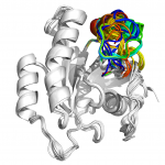 Covalent Allosteric Modulation