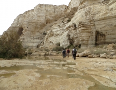 Group trip to Ein Ovdat, December 2014 picture no. 25
