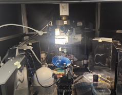 Lab visit to Prof. Ziv Lab  Feb 2026 picture no. 3