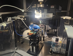 Lab visit to Prof. Ziv Lab  Feb 2026 picture no. 4