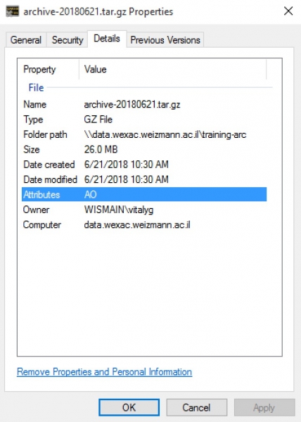 Checking a file's offline tape storage availability via its Properties dialog