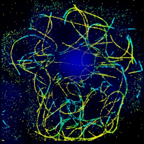 STORM imaging of microtubules in amoebae, courtesy of Dr. Tali Dadosh, as part of the studies conducted by Liran Ben Yaacov in the lab of Prof. Avi Minsky