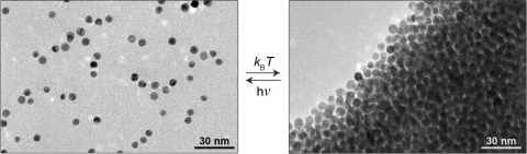 Nanoparticles in a light-sensitive medium scatter in the light (left) and aggregate in the dark (right) 