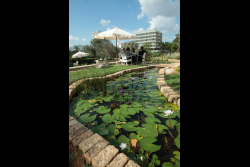 Levinson Visitors Center