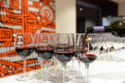 Executive Board Reception