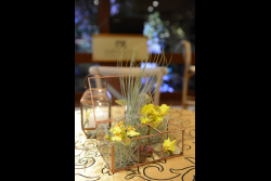 Executive Board Reception