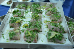 Executive Board Reception