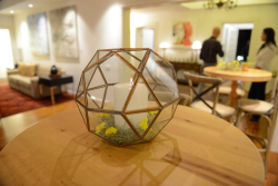 Executive Board Reception