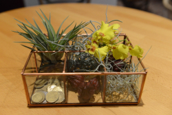 Executive Board Reception