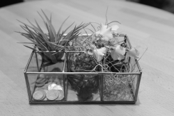 Executive Board Reception