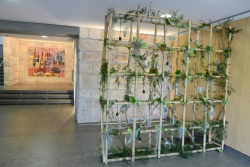 Festive Open Session