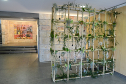 Festive Open Session