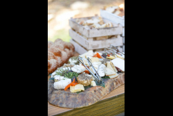 Breakfast marking the establishment of the Abramson Family Center for Young Scientists