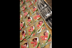 A Tribute to the Azrieli Foundation